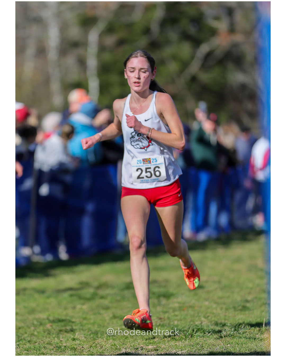 Henry Scannell, Bellows Free Academy-Fairfax, P203, 19:03.72 - New England Cross Country State Championship - Thetford Vt - November 8, 2025 File: ./dir-1-Girls-Championship/251108-2025-New England-Cross-Country-Championships-Thetford-VT-370-296A6351.jpg Henry Scannell, Bellows Free Academy-Fairfax, P203, 19:03.72 - New England Cross Country State Championship - Thetford Vt - November 8, 202…
